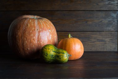 Farklı boyutlarda ve farklı renkler kahverengi bir arka plan üzerinde kabaklar.