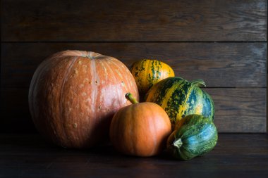 Farklı boyutlarda ve farklı renkler kahverengi bir arka plan üzerinde kabaklar.