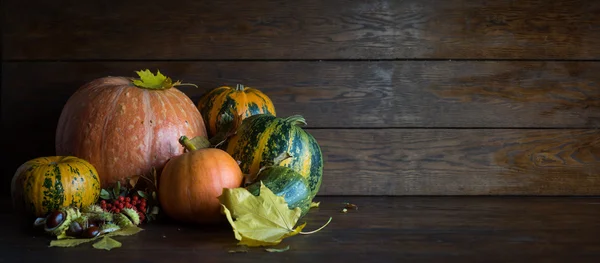 Abóboras de tamanhos diferentes e cores diferentes em folhas de outono em um fundo marrom . — Fotografia de Stock