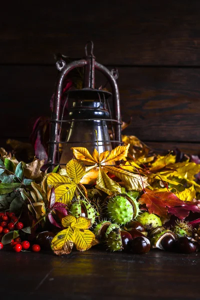 Humor queda com lâmpada de querosene antiguidades. Natureza morta de folhas de outono multicores castanha e rowan no fundo de tábuas marrons — Fotografia de Stock