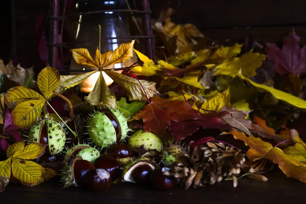 Humeur d'automne avec lampe antiquités au kérosène. Nature morte de feuilles d'automne multicolores châtaignier et rowan sur le fond de planches brunes — Photo