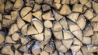 Kurumuş odun yığını.
