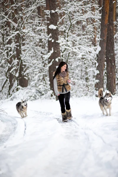 Meisje met Husky in winter woud. Jonge vrouw is husky aangelijnd, de tweede Husky loopt langs — Stockfoto