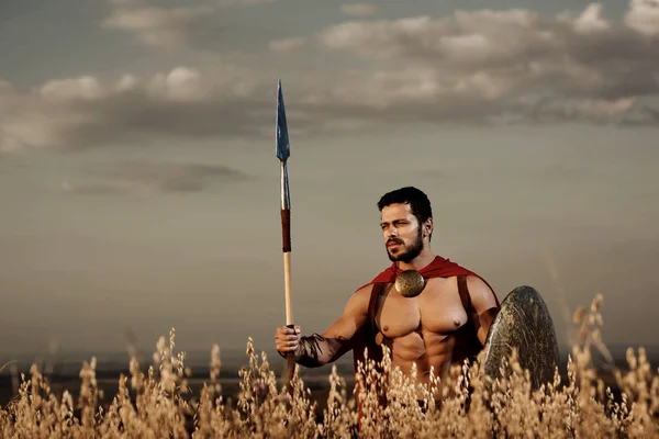 Atletisk krigare gillar spartanska bland gräs i fältet. — Stockfoto