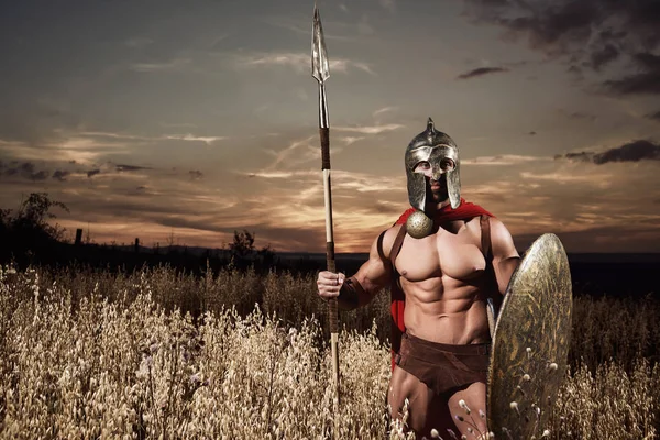 Солдат, як спартан у шоломі, тримає закруглений щит . — стокове фото