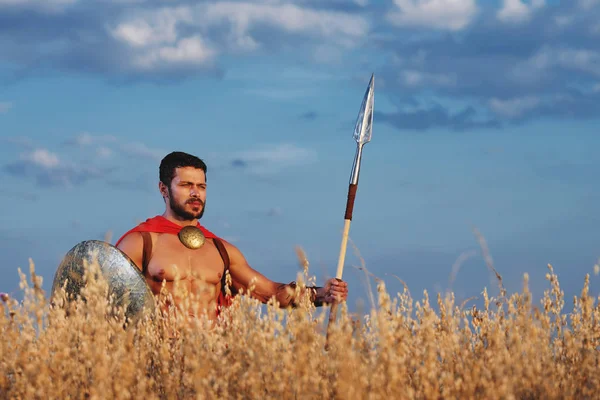 Muskulöser mittelalterlicher Krieger, der auf dem Feld steht — Stockfoto