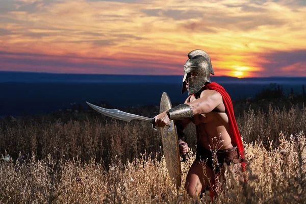 Бесстрашный молодой спартанский воин, позирующий на поле боя — стоковое фото
