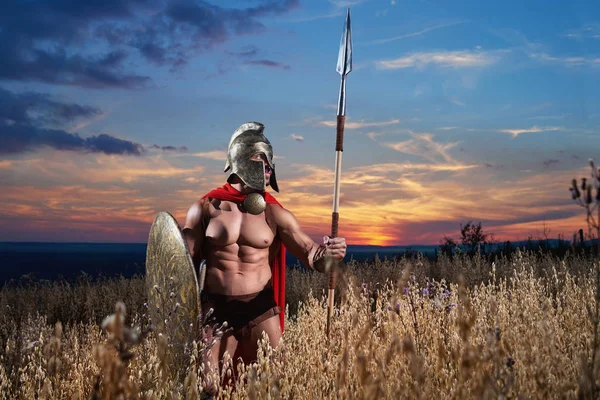 Strong Spartan warrior in battle dress with a shield and a spear — Stock Photo, Image