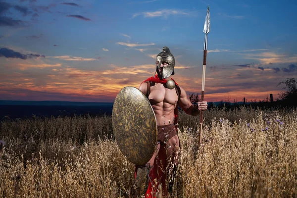 Strong Spartan warrior in battle dress with a shield and a spear — Stock Photo, Image