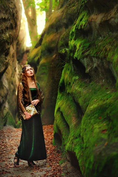 Девушка-эльф бродит по лесу, держа старую книгу. — стоковое фото