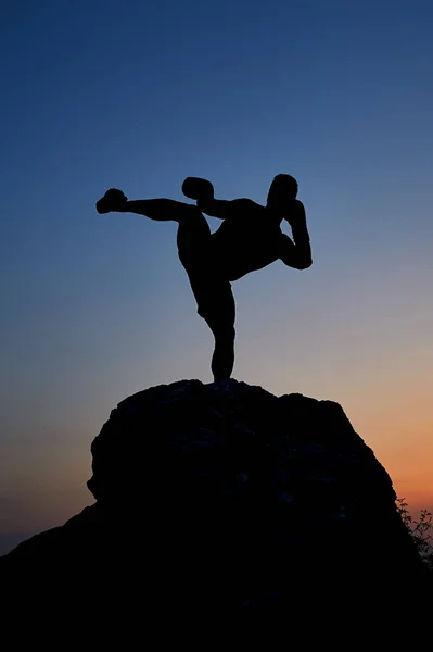 Dark silhouette of a muscular male boxer outdoors on sunset