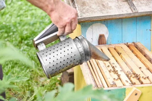 Ahumador de abejas metálicas a la antigua en el apiario — Foto de Stock