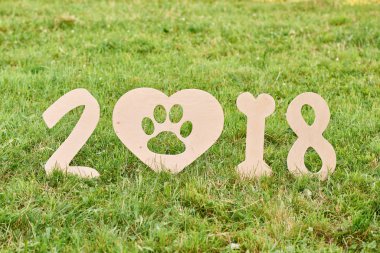 Çok güzel mutlu fox terrier köpek park 2018 yeni yıl greetin