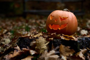Kızgın turuncu kabak arasında korkunç gülümseme ile orman bırakır.