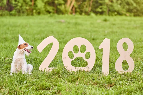 Çok güzel mutlu fox terrier köpek park 2018 yeni yıl greetin