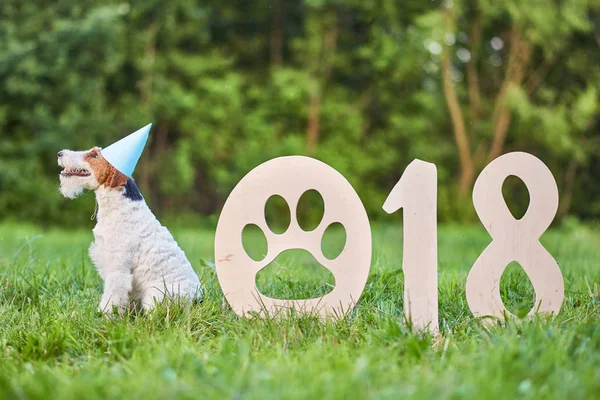 Çok güzel mutlu fox terrier köpek park 2018 yeni yıl greetin