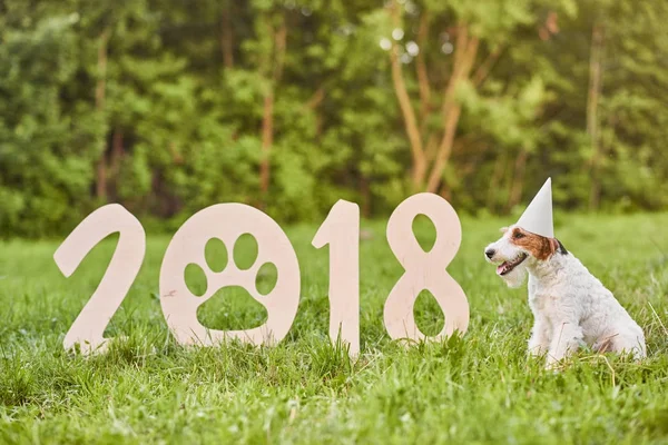 Çok güzel mutlu fox terrier köpek park 2018 yeni yıl greetin