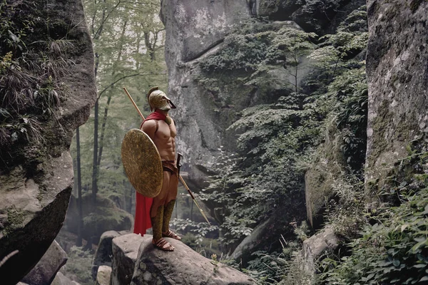Spartański wojownik w lesie — Zdjęcie stockowe