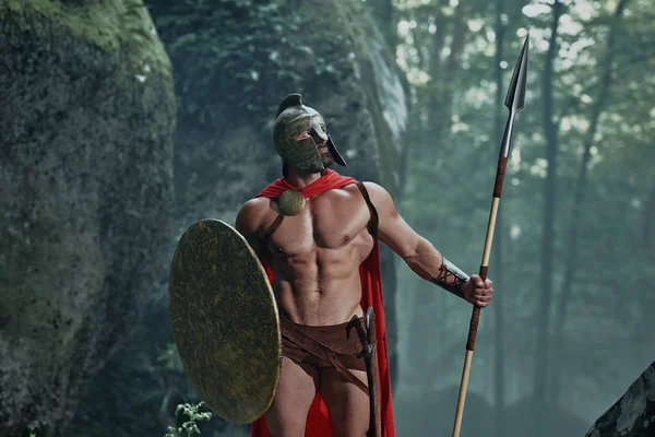 Спартанський воїна в лісі — стокове фото