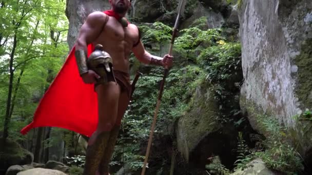 Μεσαιωνικός πολεμιστής μέσα στο δάσος — Αρχείο Βίντεο