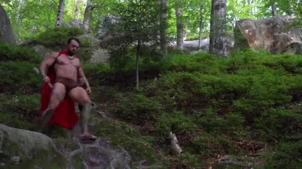 Guerrero medieval en el bosque — Vídeo de stock