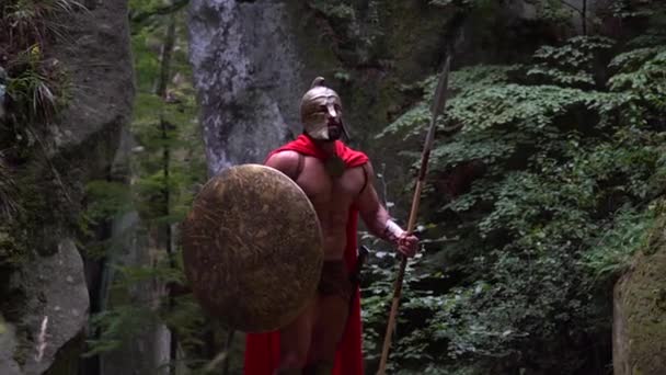 Средневековый воин в лесу — стоковое видео