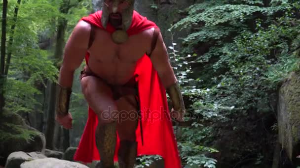 Средневековый воин в лесу — стоковое видео