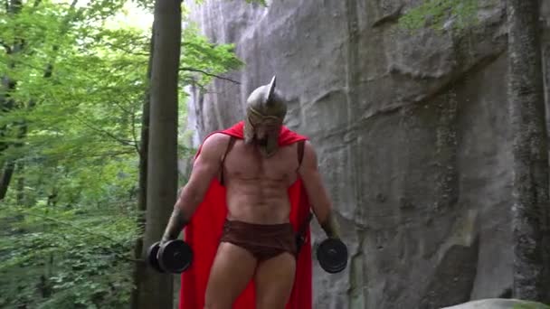 Середньовічні воїна в тренування в лісі — стокове відео