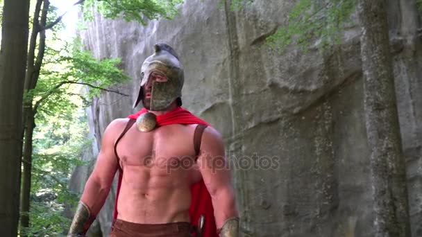 Medieval warrior in working out in the woods — Stock Video