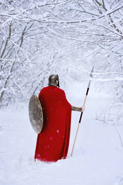 Primer plano del guerrero espartano caminando por el bosque de invierno  . — Foto de Stock