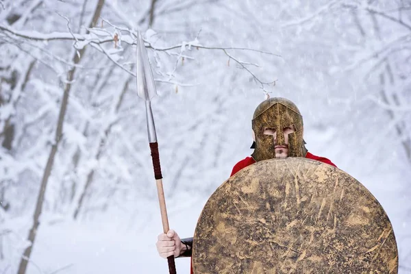 Espartano manteniendo lanza y escudo en el bosque nevado . —  Fotos de Stock