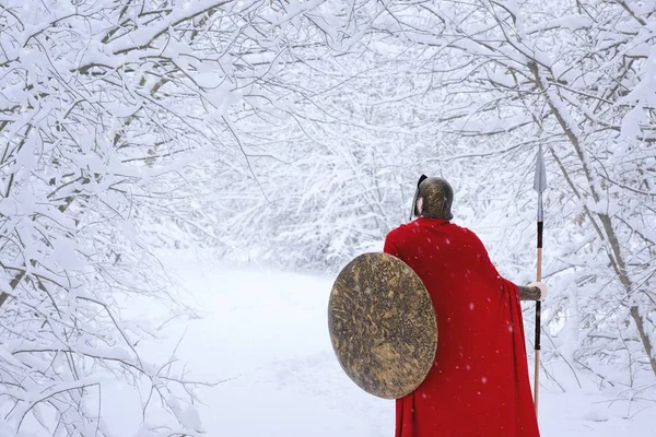Försiktig spartanska i kalla snöiga skogen. — Stockfoto