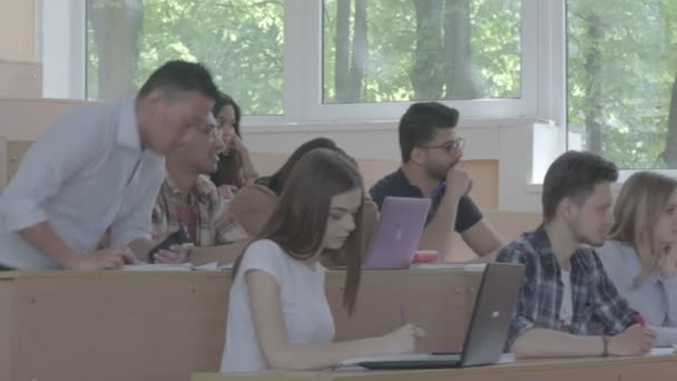 Studenti se učí v učebně univerzity. — Stock video