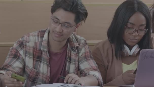 Verschillende nationaliteiten studenten studeren met behulp van laptops. — Stockvideo