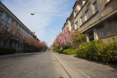 Açık mavi gökyüzü ile ilkbaharda çiçek açan sokak.