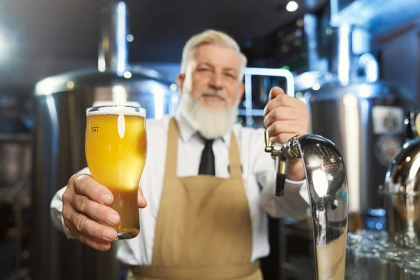 Anziano barman in possesso di vetro freddo con birra lager . — Foto Stock