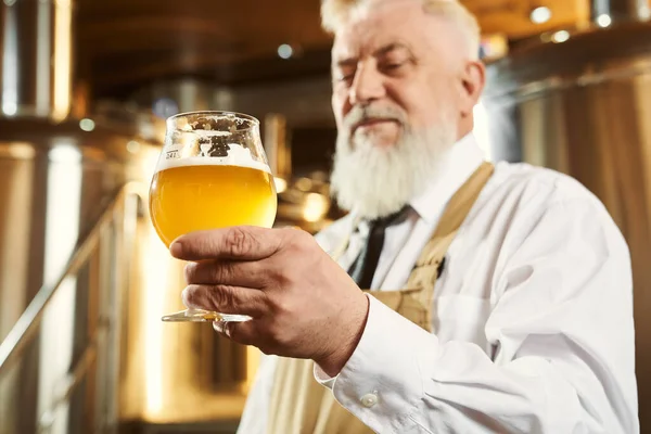 Idosos cervejeiro segurando vidro com cerveja leve . — Fotografia de Stock