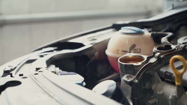 Auto monteur gieten van olie in de motor. — Stockvideo