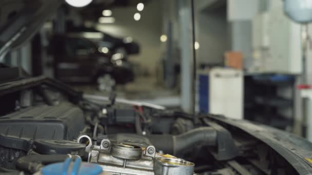 Mechanic pulls out dipstick to check oil level. — 비디오