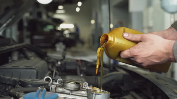 Car mechanic pouring oil into engine. — Stock Video
