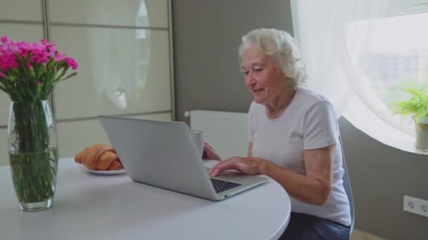 Oude vrouw met laptop. — Stockvideo