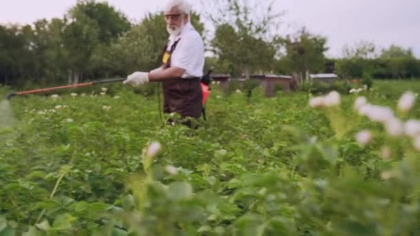 Pracownik gospodarstwa kropi ziemniaki trucizną owadów — Wideo stockowe