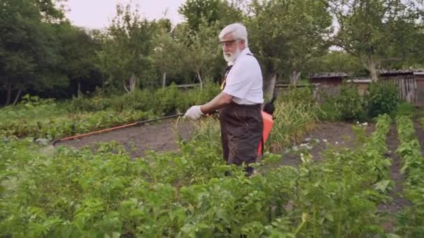 Jardinero maduro protegiendo los arbustos de papa con productos químicos — Vídeo de stock