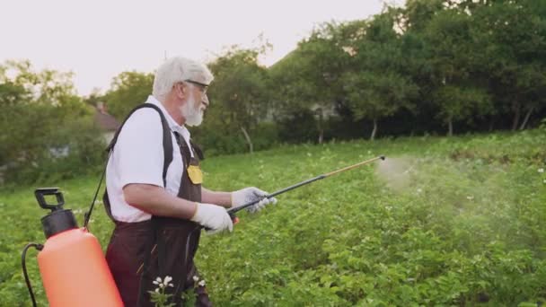 Rolnik posypuje ziemniaki opryskiwaczem elektrycznym z owadów — Wideo stockowe