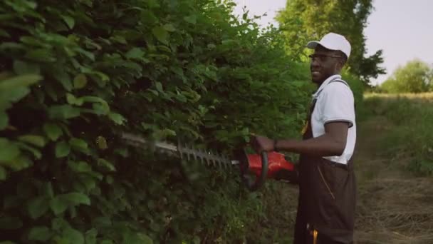 Lächelnder Gärtner schneidet Hecke. — Stockvideo