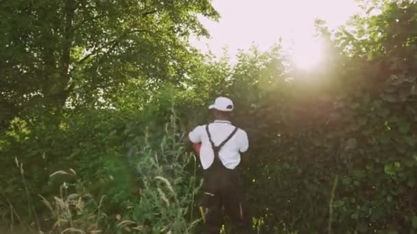 Çit kesen Afroamerikalı bahçıvan. — Stok video