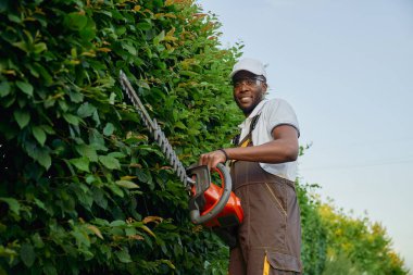 Dekoratif çit kesen kaslı Afrikalı adam.
