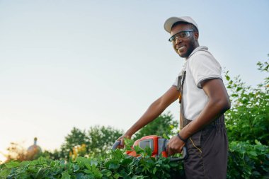 Mutlu Afrikalı adam gaz makası ile çalıları buduyor.