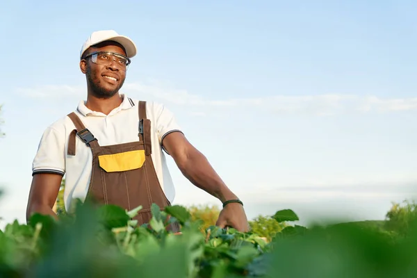 Glad afro amerikansk man avkopplande under trädgårdsarbete — Stockfoto