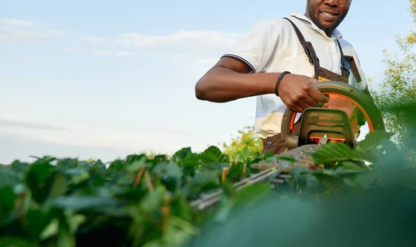 Närbild av afrikanska trädgårdsmästare händer håller häcken trimmer — Stockfoto